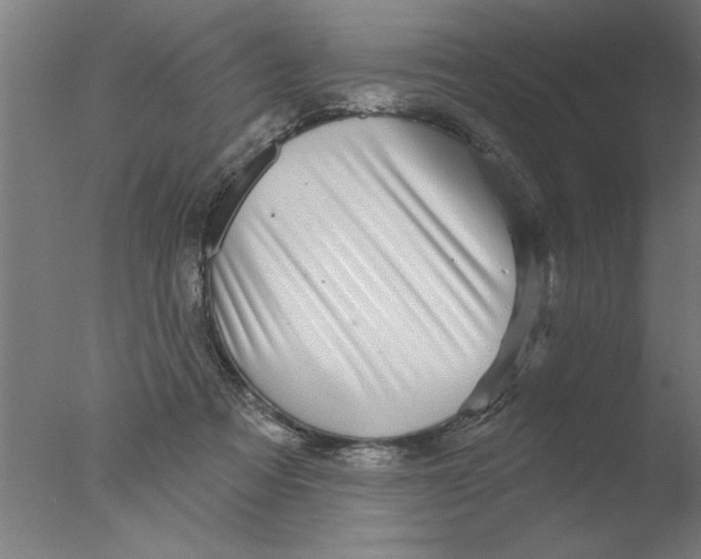 X0000076080313200610202047