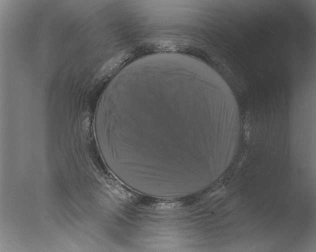 X0000076080314200610202047