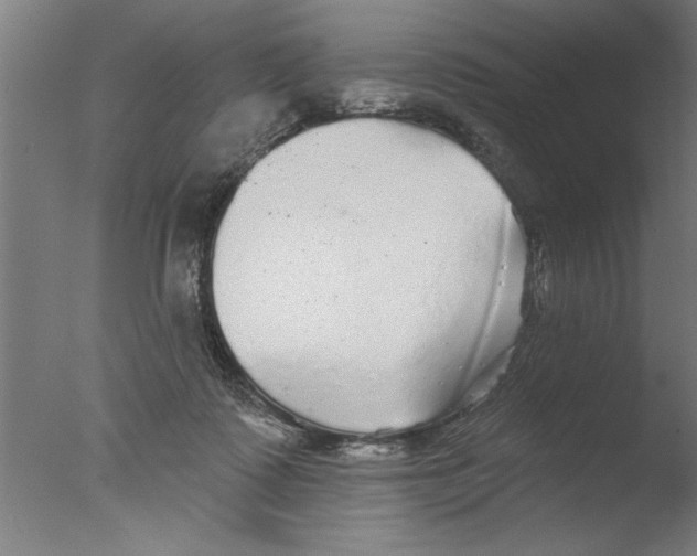 X0000076080315200610202047