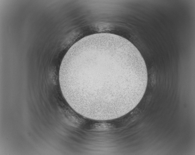 X0000076080316200610202047