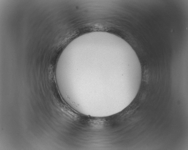 X0000076080318200610202047