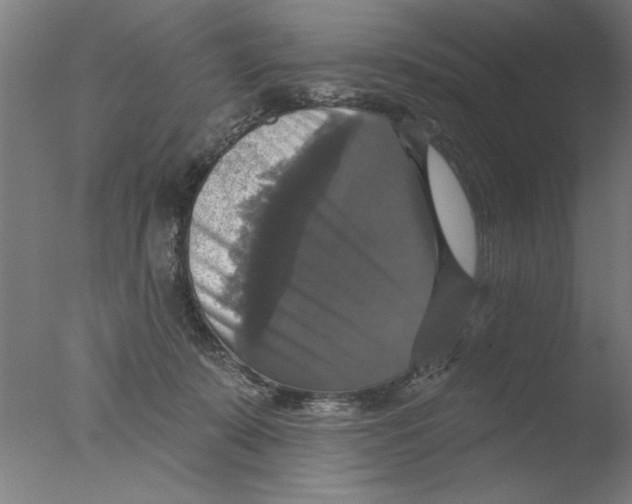 X0000076080319200610202047