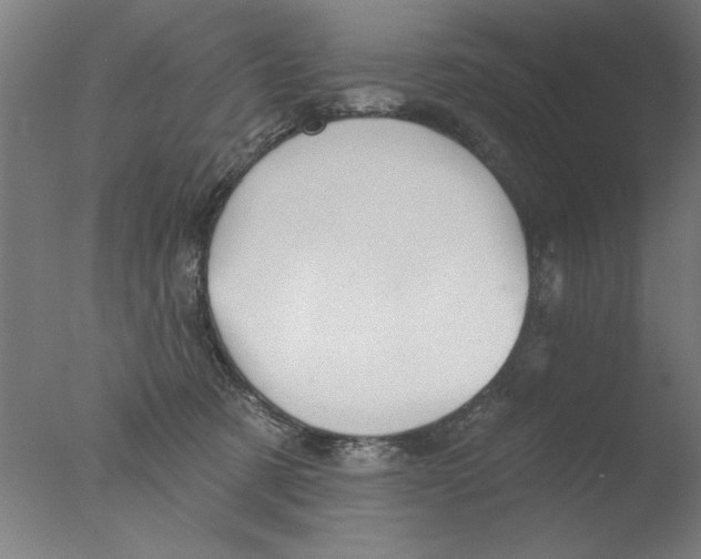 X0000076080321200610202047