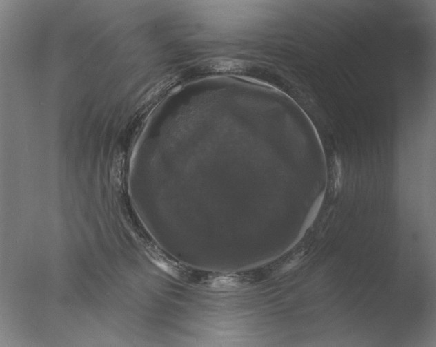 X0000076080325200610202047