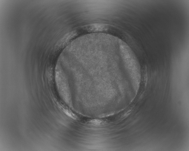 X0000076080326200610202047