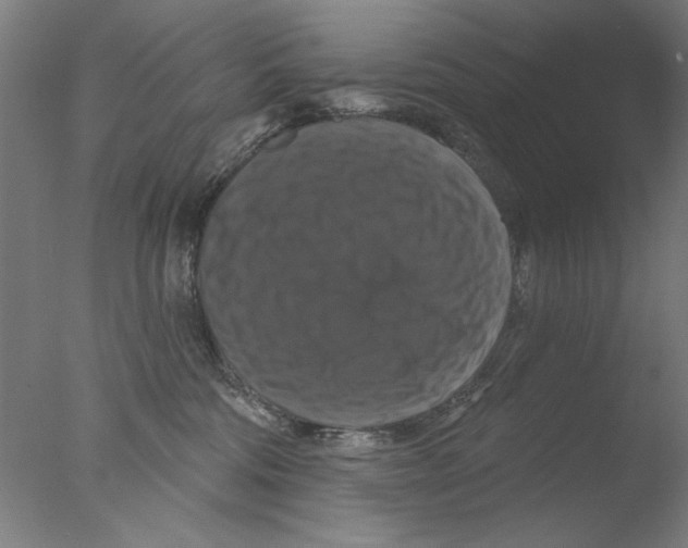 X0000076080330200610202047