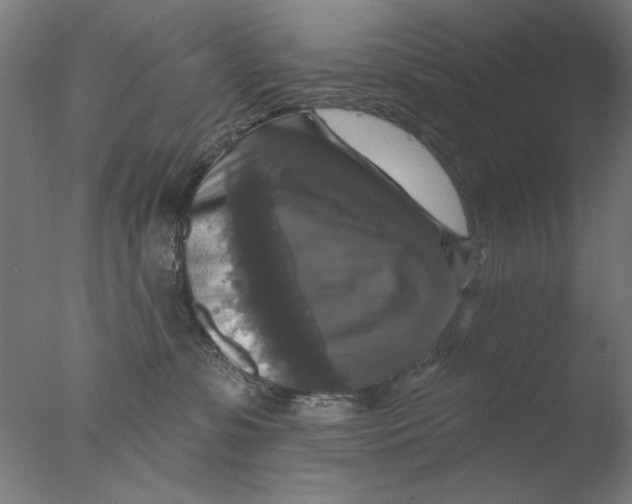 X0000076080331200610202047