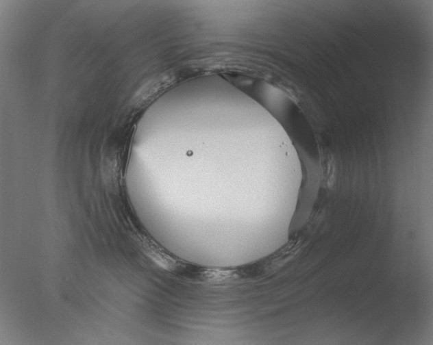 X0000076080333200610202047