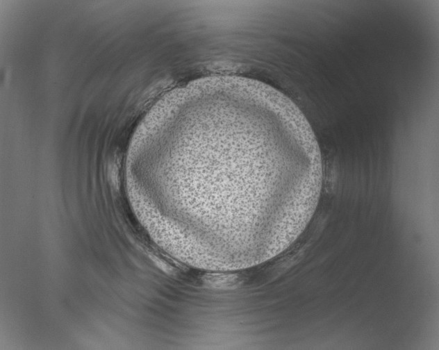 X0000076080334200610202047