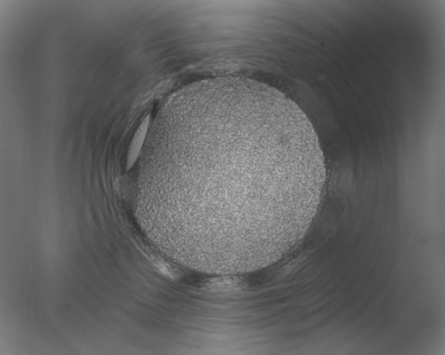 X0000076080335200610202047