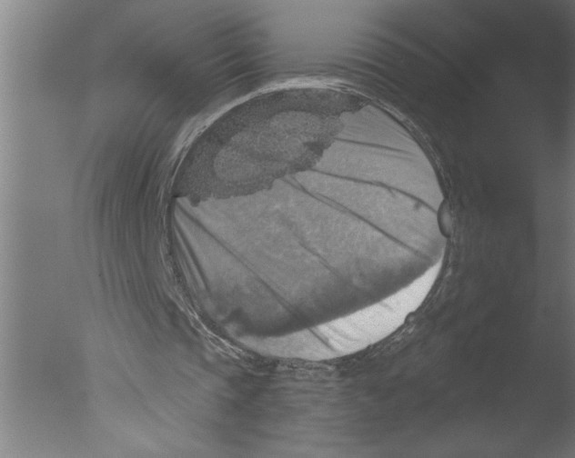 X0000076080337200610202046