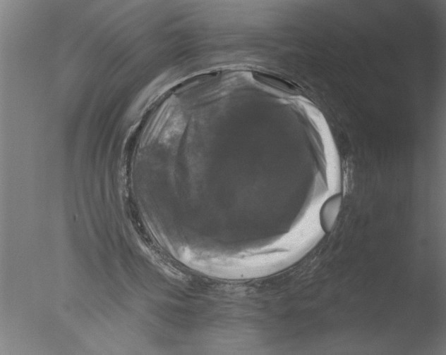 X0000076080339200610202046