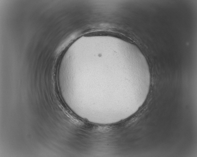 X0000076080341200610202046