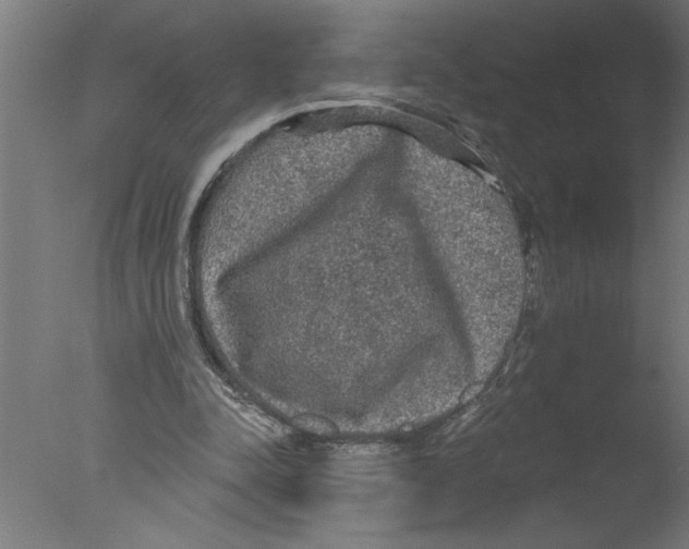 X0000076080342200610202046