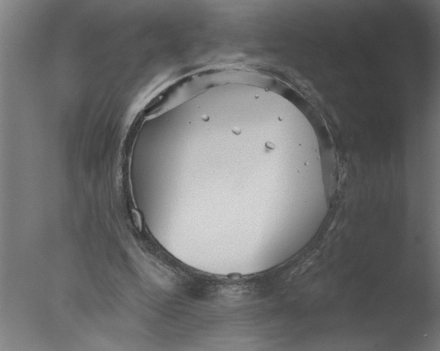 X0000076080344200610202046