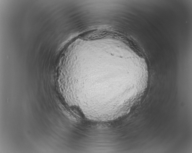 X0000076080345200610202046