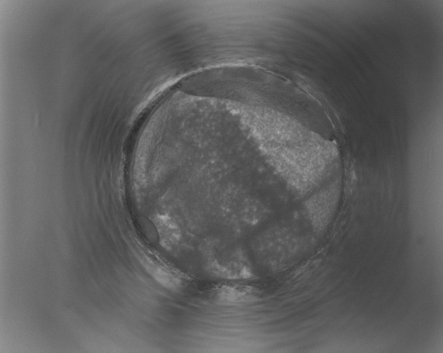 X0000076080346200610202046