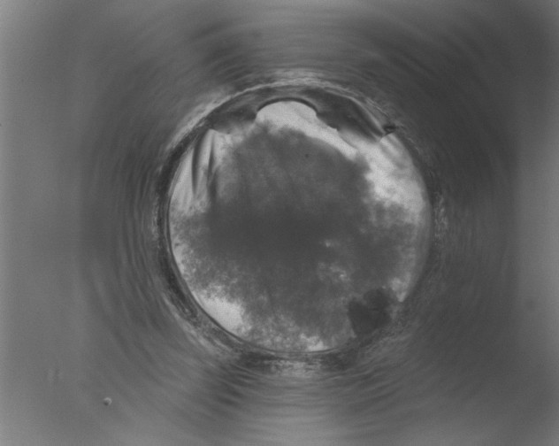 X0000076080347200610202046