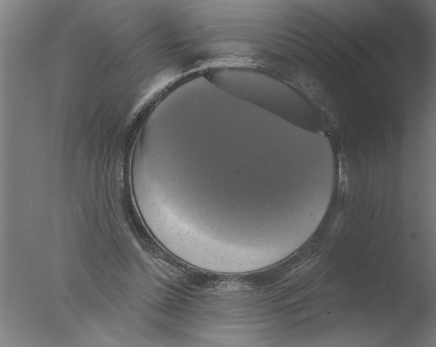 X0000076080348200610202046