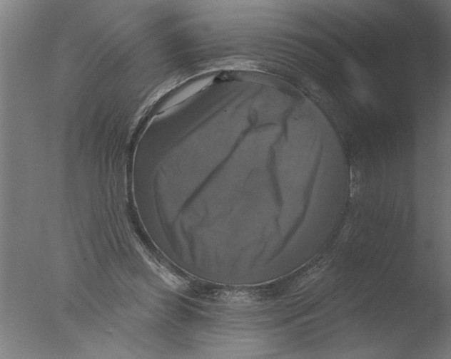 X0000076080349200610202046