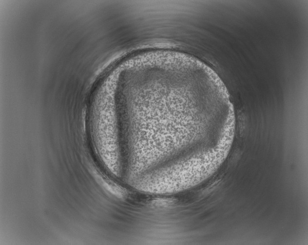 X0000076080350200610202046