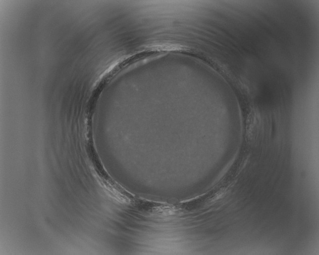 X0000076080351200610202046