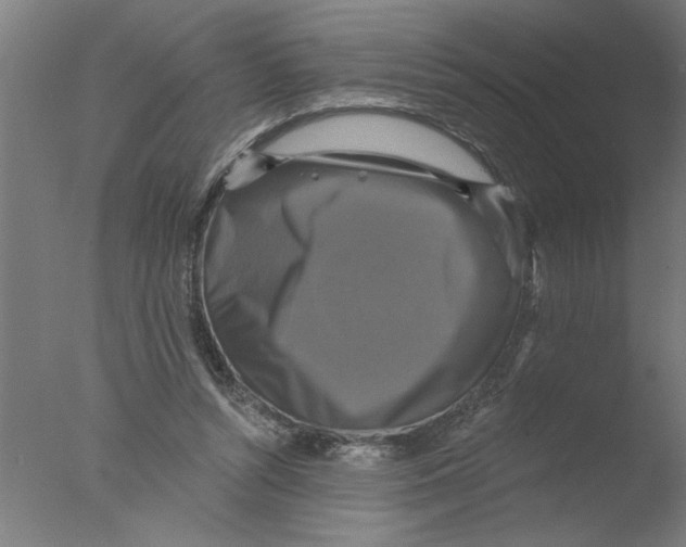 X0000076080352200610202046