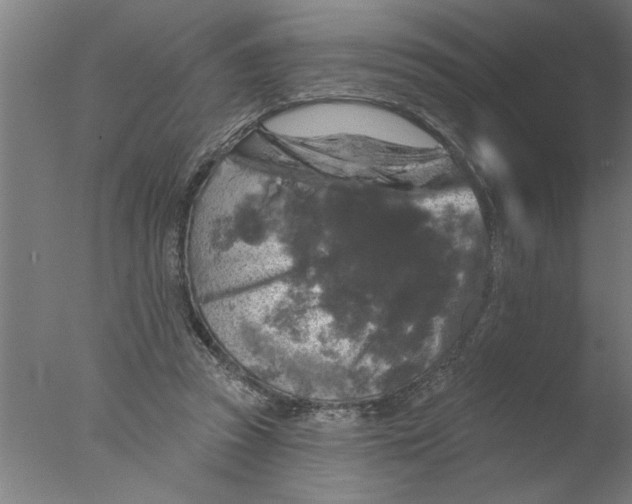 X0000076080353200610202046