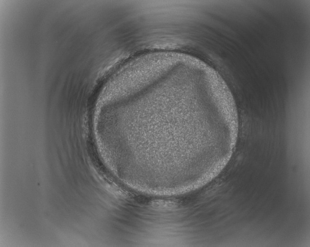 X0000076080354200610202046