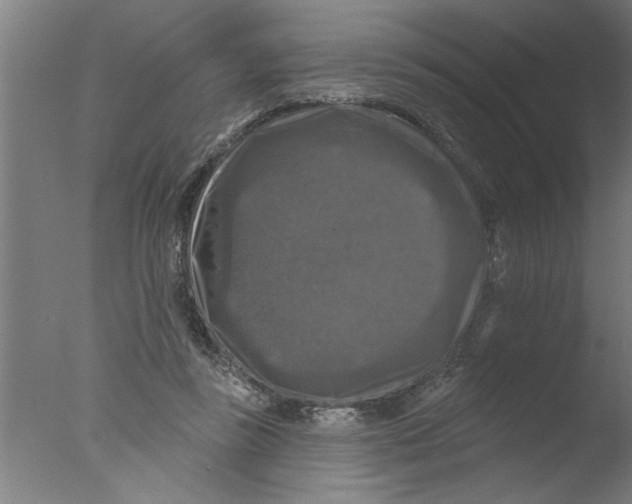 X0000076080355200610202046