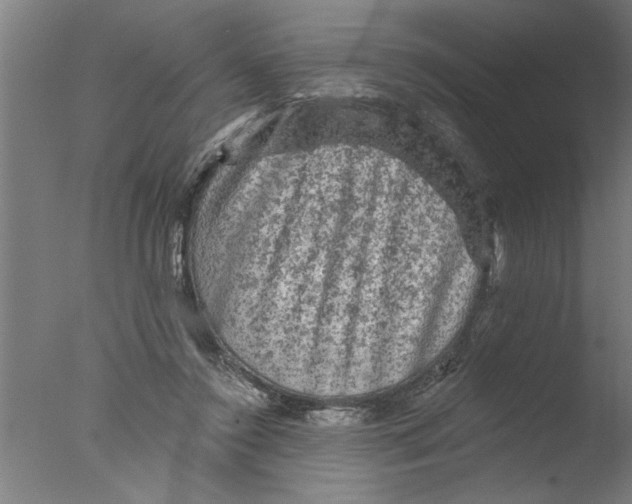 X0000076080356200610202046