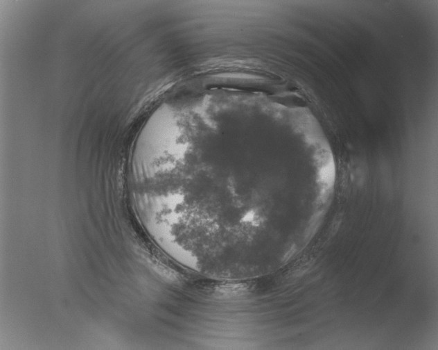 X0000076080357200610202046