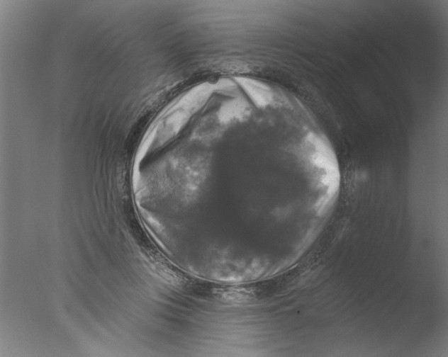 X0000076080359200610202046