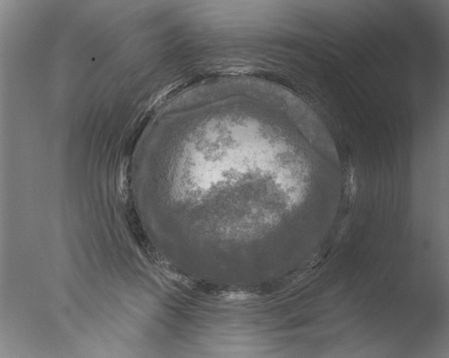 X0000076080360200610202046