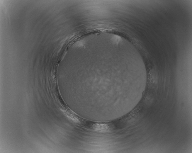 X0000076080361200610202046