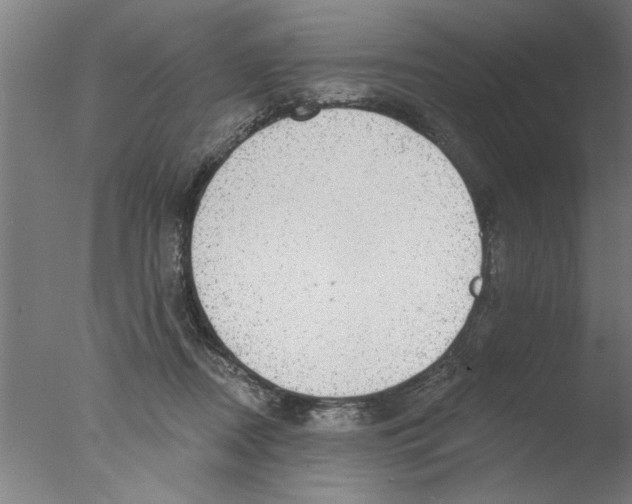 X0000076080362200610202046