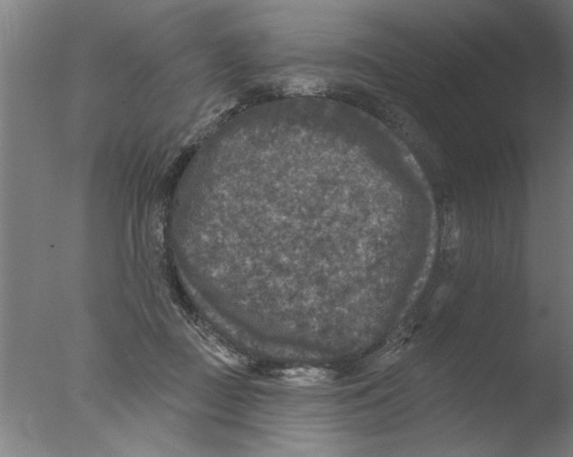 X0000076080363200610202046