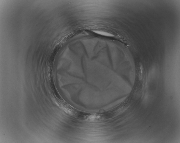 X0000076080366200610202046