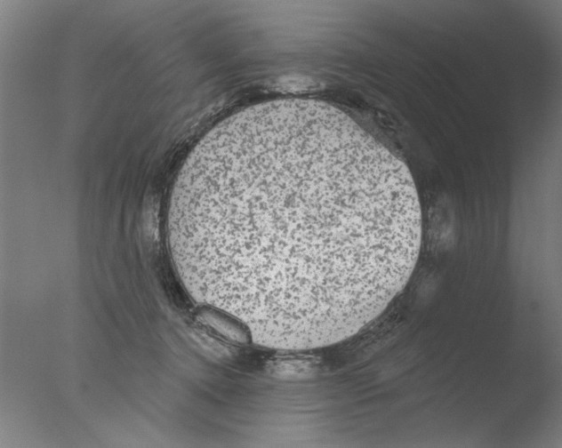 X0000076080368200610202046