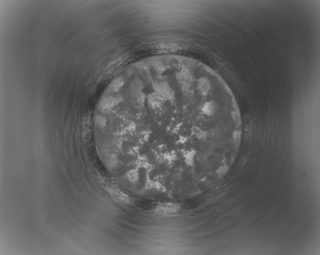 X0000076080369200610202046