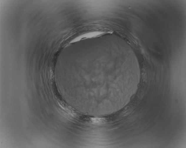 X0000076080371200610202046