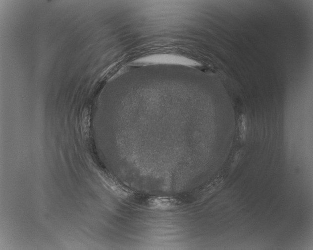 X0000076080372200610202046