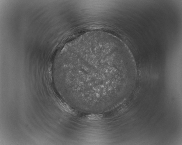 X0000076080373200610202046