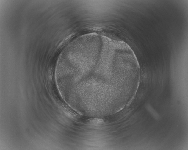 X0000076080374200610202046