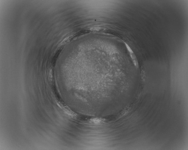 X0000076080375200610202046