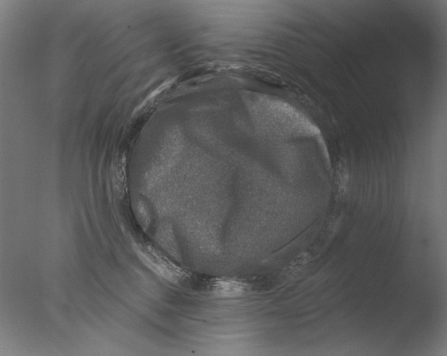 X0000076080376200610202046