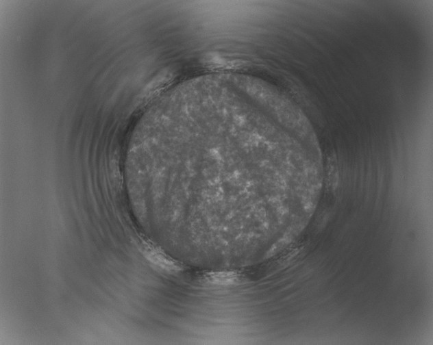 X0000076080377200610202046