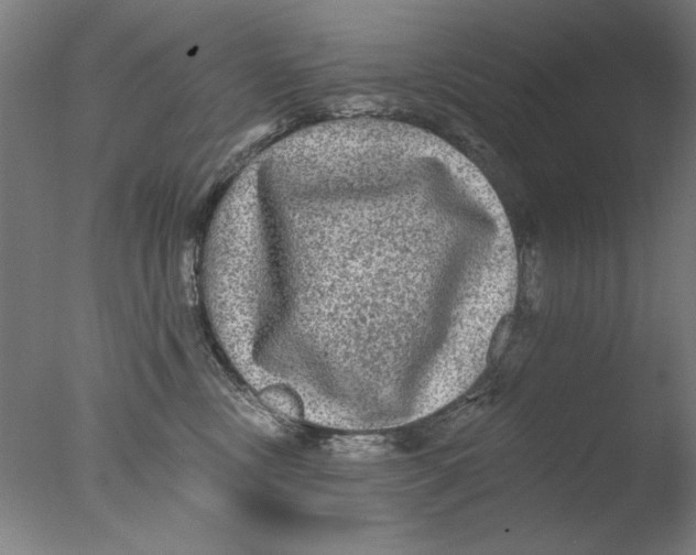 X0000076080378200610202046