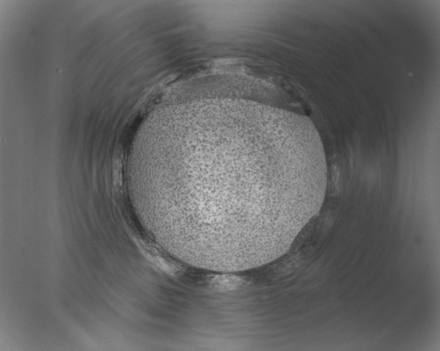 X0000076080379200610202046