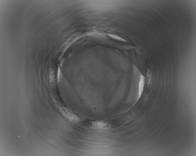 X0000076080380200610202046